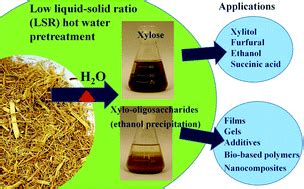 Pretreatment of sugarcane bagasse with liquid hot water.